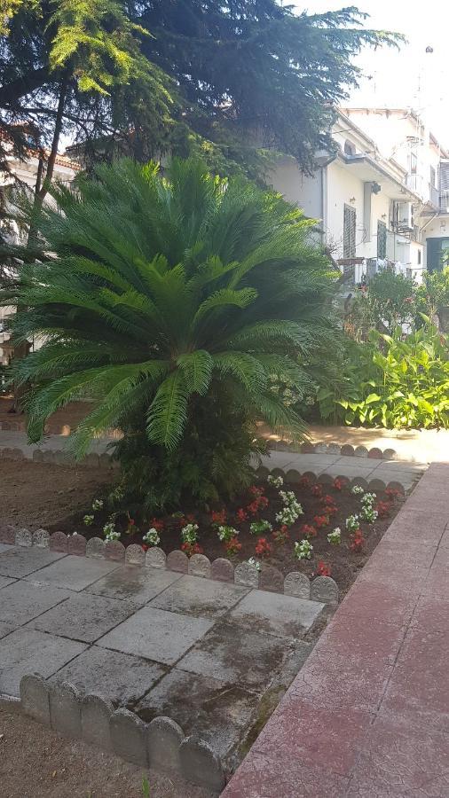 B&B Il Cedro Cava De' Tirreni Exterior photo